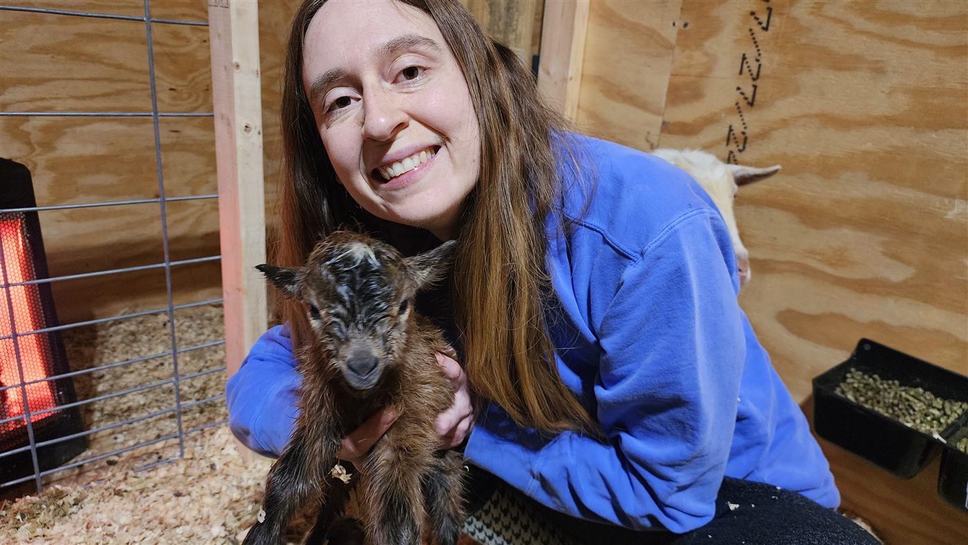 Cuddling a newborn goat kid in the barn at Amen Farms