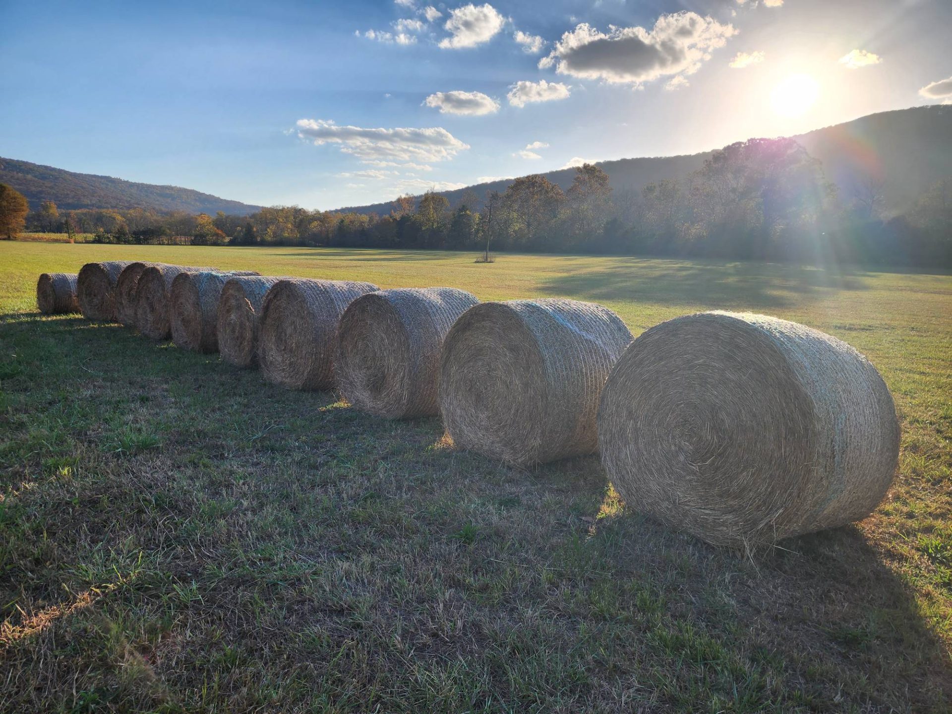 Round hay bales lined up across the pasture at Amen Farms, with the Woodville, Alabama hills glowing at day's end